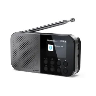 Sharp Radio DAB+ DR-P520 Gris