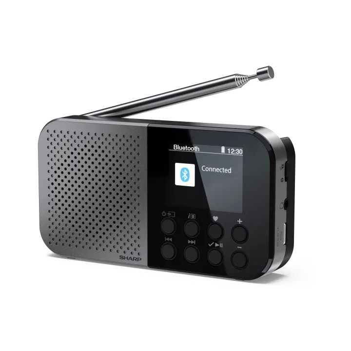 Sharp Radio DAB+ DR-P520 Gris