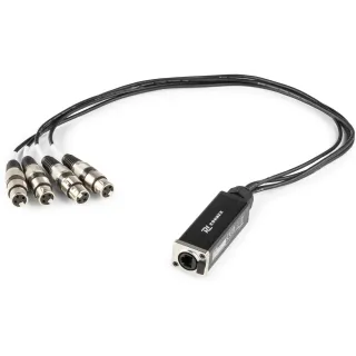 PD Connex Câble audio CX192 XLR 3 pôles, femelle - RJ45 0.7 m