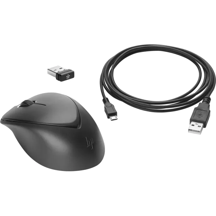 HP Souris Wireless Premium 1JR31AA