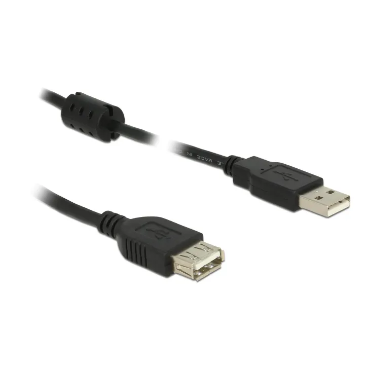 Delock Câble de prolongation USB 2.0 USB A - USB A 0.5 m