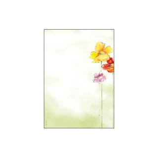 Sigel Papier à motif Spring Flowers A4, 50 feuilles