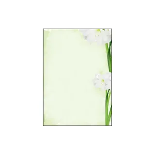 Sigel Papier à motif Green Flower A4, 25 feuilles