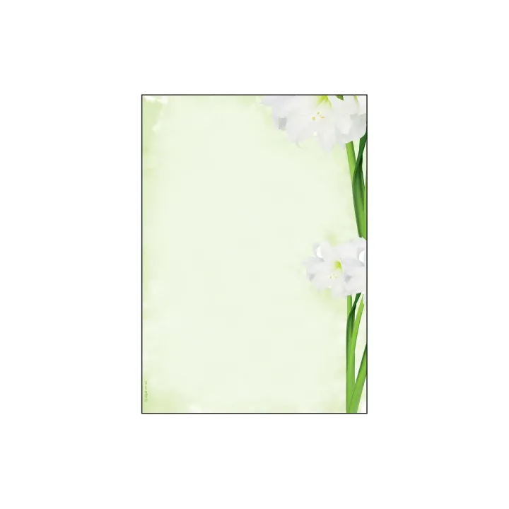 Sigel Papier à motif Green Flower A4, 25 feuilles