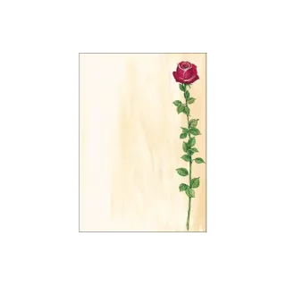 Sigel Papier à motif Rose Bloom A4, 25 feuilles