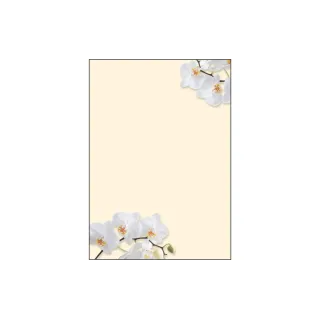 Sigel Papier à motif White Orchid A4, 50 feuilles