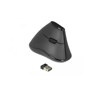 Delock Souris ergonomique 12622 Silent USB sans fil