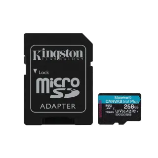 Kingston Carte microSDXC Canvas Go! Plus 256 GB