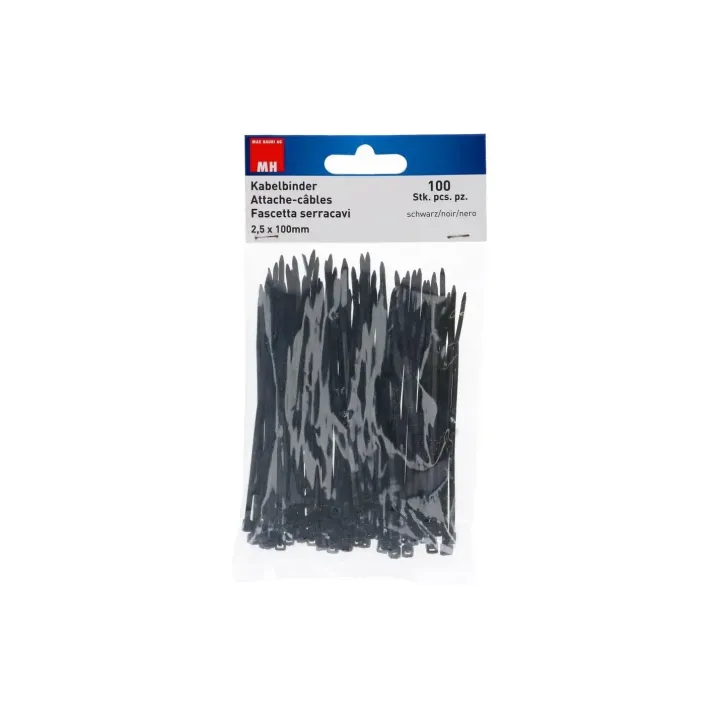 Max Hauri Serre-câble 100 pièces Noir 100 mm x 2.5 mm