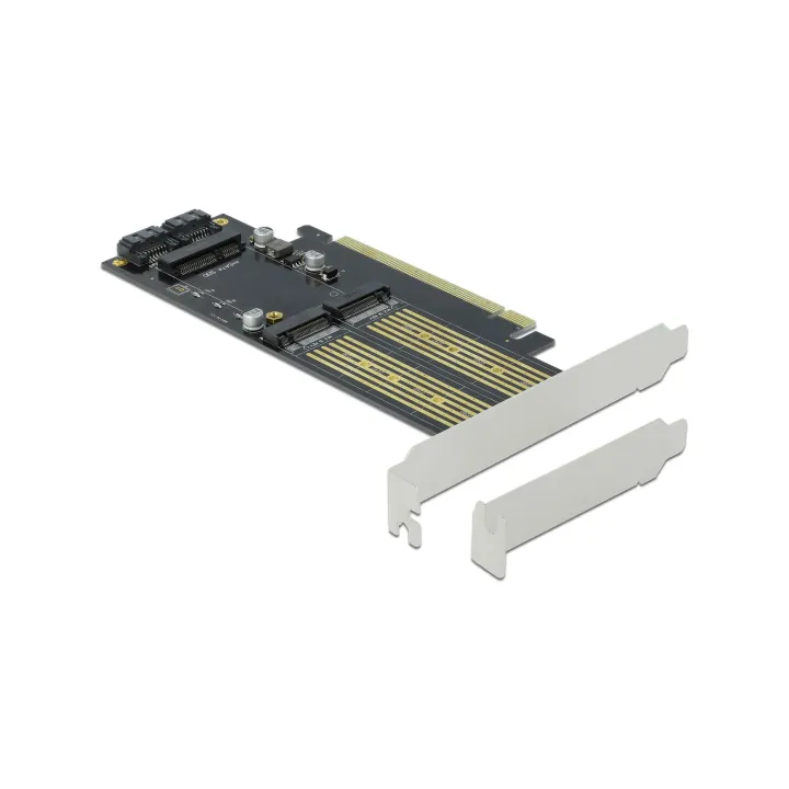 Delock Adaptateur de bus hôte PCI-Ex16v4 - M.2 Key-B, M.2 Key-M, mSATA