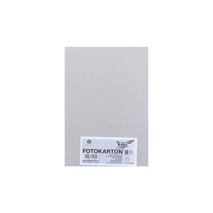 Folia Papier cartonné A4, 300 g-m², 50 feuilles, gris clair