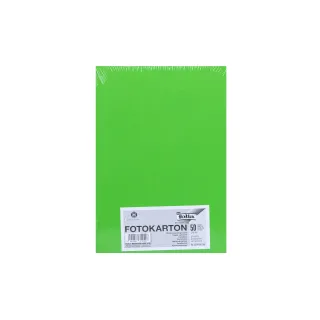 Folia Papier cartonné A4, 300 g-m², 50 feuilles, vert gazon