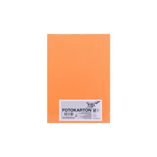 Folia Papier cartonné A4, 300 g-m², 50 feuilles, saumon