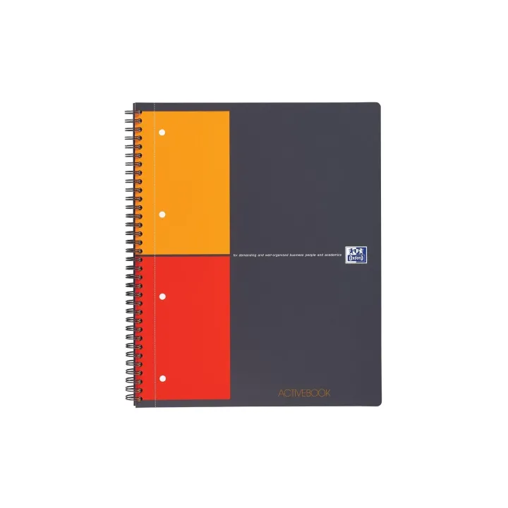 Oxford Carnet de notes International Activebook, A4 +, À carreaux, Gris