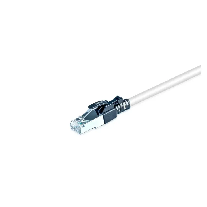 Wirewin Câble patch Securelock Cat 6A, S-FTP, 1 m, Gris