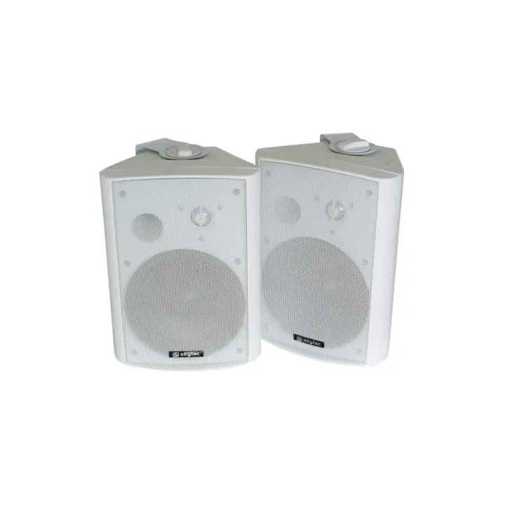 Skytec Haut-parleur d’installation ODS65W Set Blanc