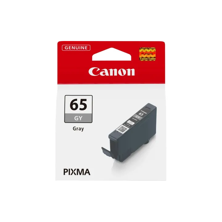 Canon Encre CLI-65GY - 4215C001 Grey