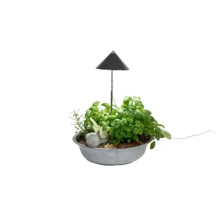 Venso Solutions Lumière de plantes SunLite 7 W, Gris