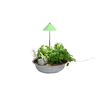 Venso Solutions Lumière de plantes SunLite 7 W, Vert