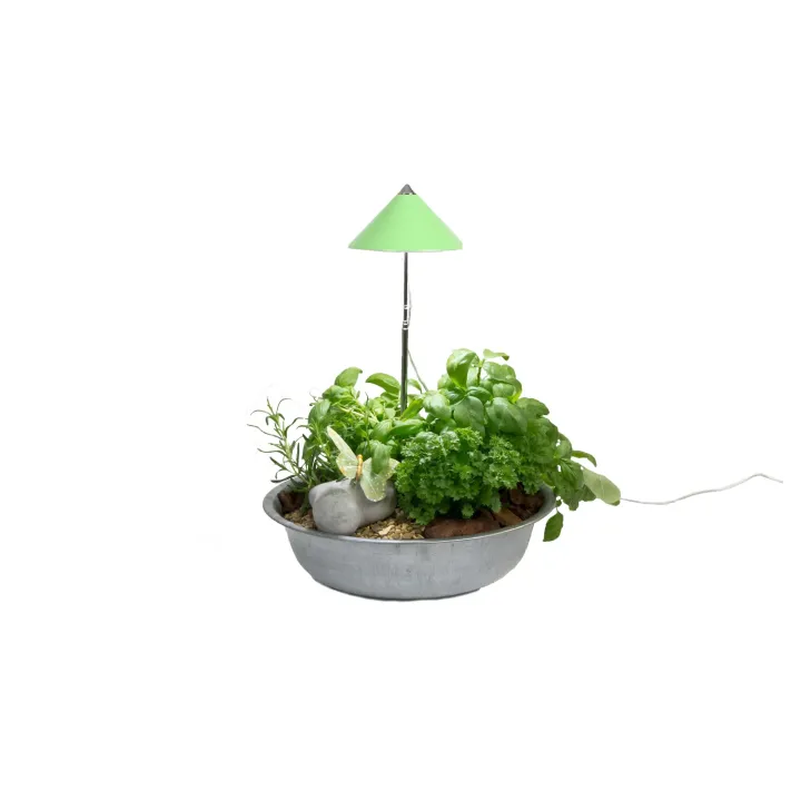 Venso Solutions Lumière de plantes SunLite 7 W, Vert