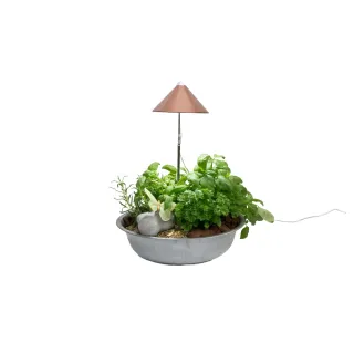 Venso Solutions Lumière de plantes SunLite 7 W, Cuivre