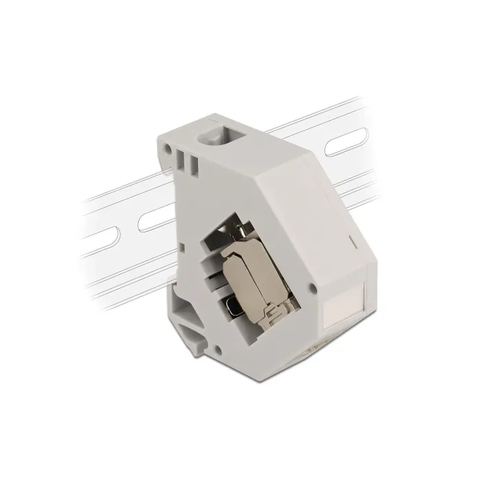 Delock Supports de rail avec module Keystone prise RJ45 Cat.6A LSA