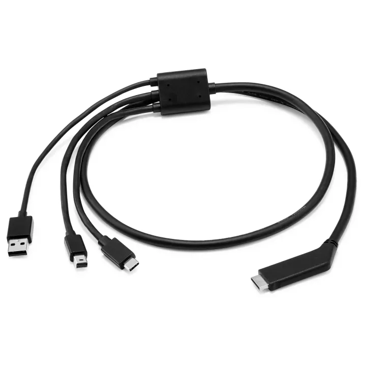 HP Câble 1 mètre pour HP Reverb G2 USB type C - DisplayPort, 1 m