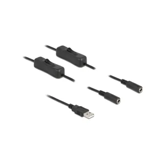 Delock Câble USB Connecteur USB-A vers 2x DC 5.5 x 2.1 mm Avec interrupteur