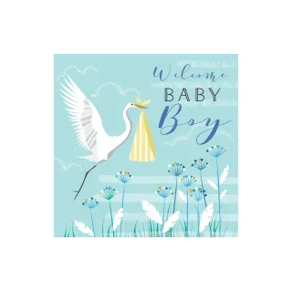 Cart Carte de félicitations Welcome Baby Boy 16 x 16 cm