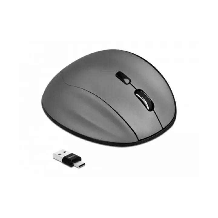 Delock Souris 12016 Bluetooth