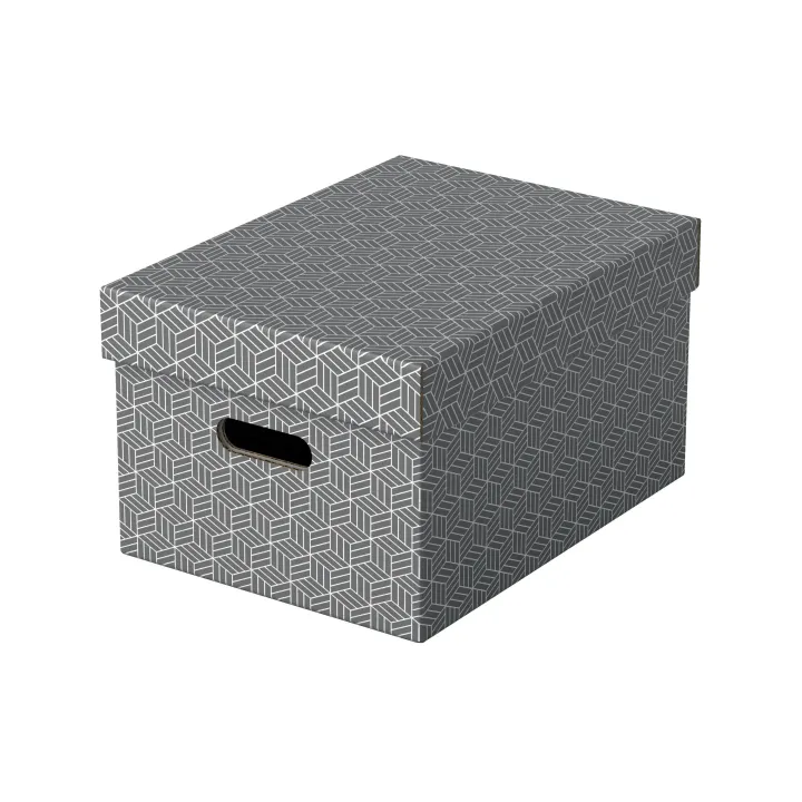 Leitz Boîte de rangement Esselte Home M Moyen, 3 pièces, Gris