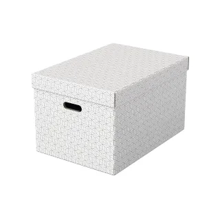 Leitz Boîte de rangement Esselte Home L Grand, 3 pièces, Blanc