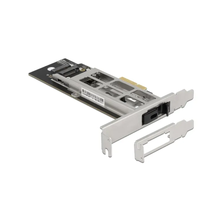 Delock Rack amovible Rack mobile 1 x M.2 NMVe SSD