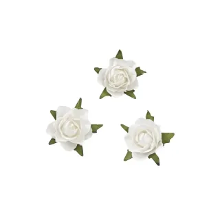 HobbyFun Décoration à éparpiller Roses 20 pièces, blanc