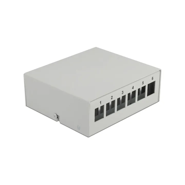 Delock Boîtier Panneau de distribution Keystone 6 ports gris