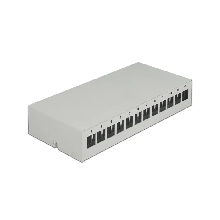 Delock Boîtier Panneau de distribution Keystone 12 ports gris