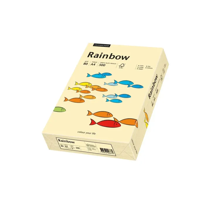 Rainbow Papier pour photocopie Rainbow 80 g-m² A4, Chamois