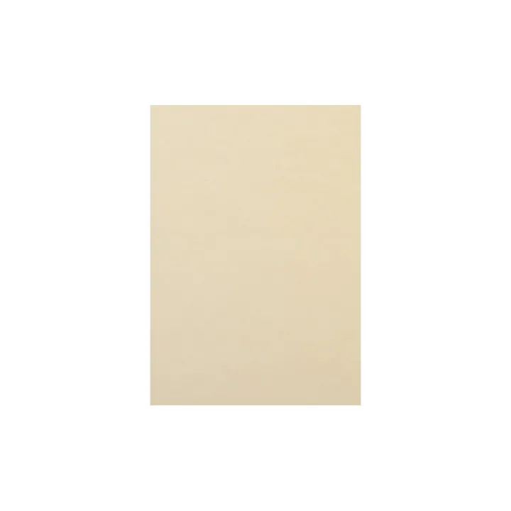 Rainbow Papier pour photocopie Rainbow 120 g-m² A4, Hellchamois