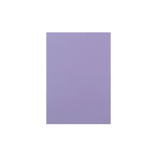 Rainbow Papier pour photocopie Rainbow 120 g-m² A4, violet