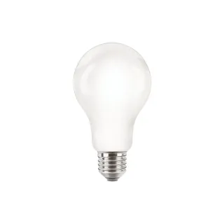 Philips Professional Lampe CorePro LEDBulb ND 120W E27 A67 840 FR G