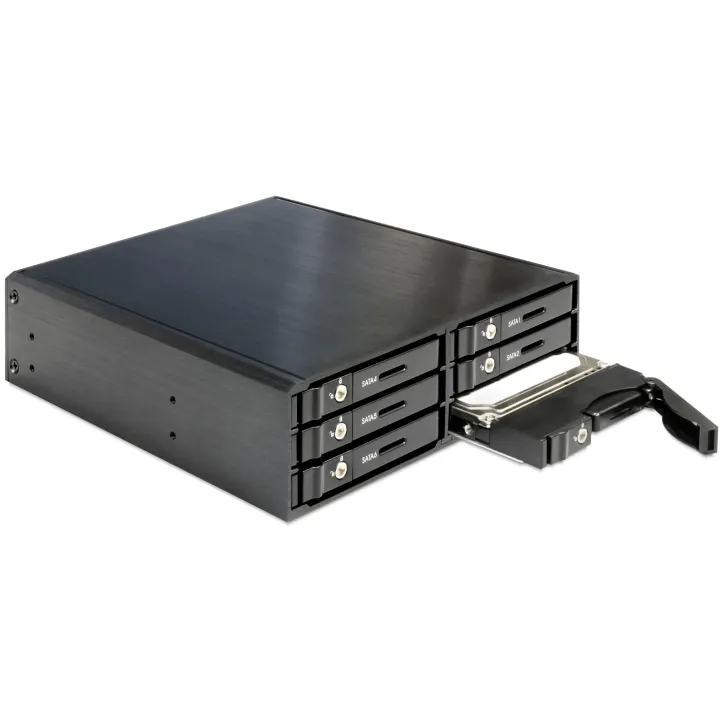 Delock Kits de montage 6x 2.5 HDD 5.25