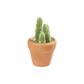 HobbyFun Mini ustensiles Cactus en pot 5.5 cm