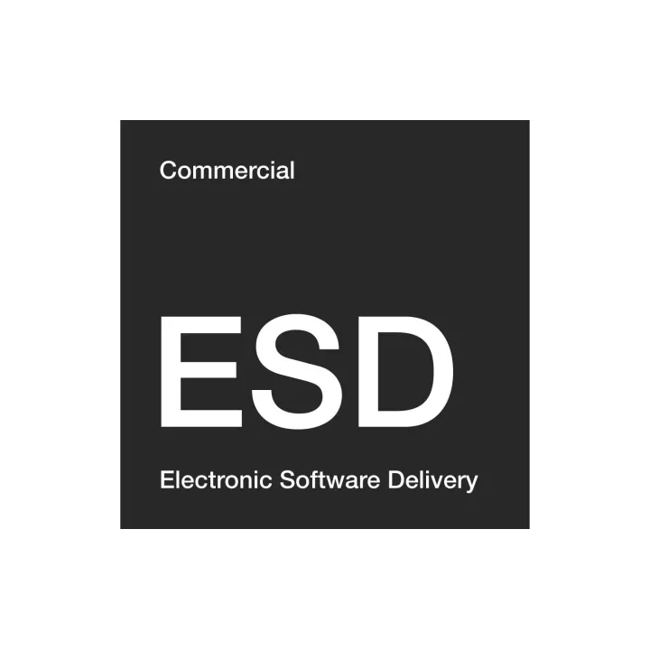 Microsoft Visio Professional 2021 ESD, version complète, ML