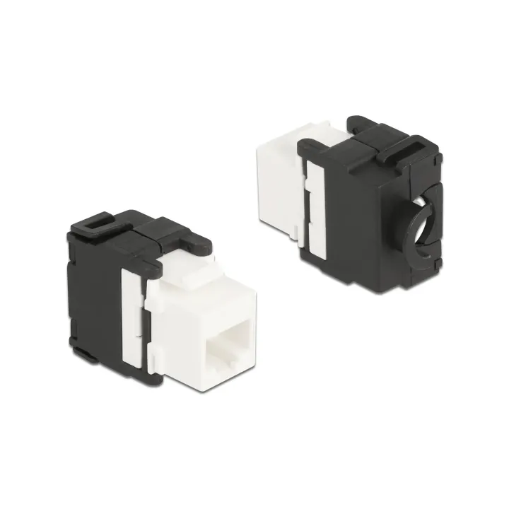 Delock Module Keystone RJ45 - LSA, Cat.6A sans outil