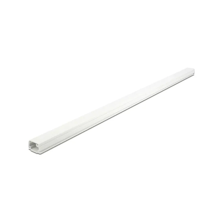 Delock Goulotte autocollant 1 m x 22 mm Blanc