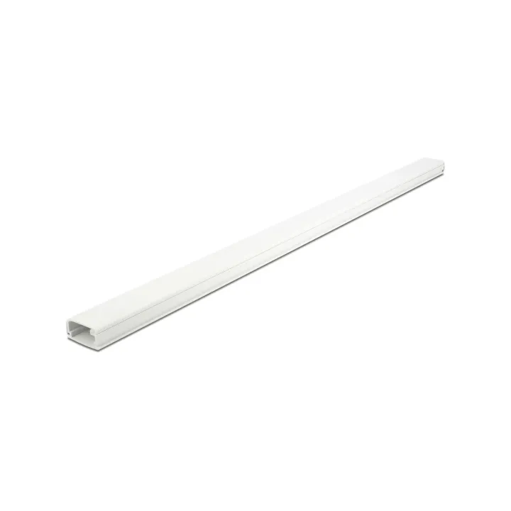 Delock Goulotte autocollant 1 m x 26 mm Blanc