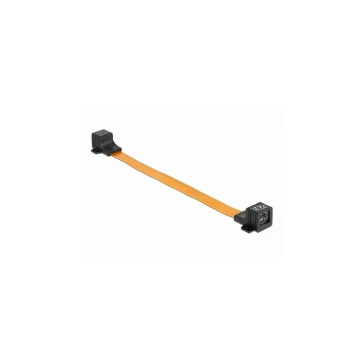 Delock Passage de fenêtre RJ45 FPC, 30 cm 1 Pièce-s