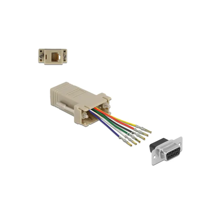 Delock Adaptateur D-Sub 9 broches vers RJ12 6P-6C, kit de montage 0.052 m