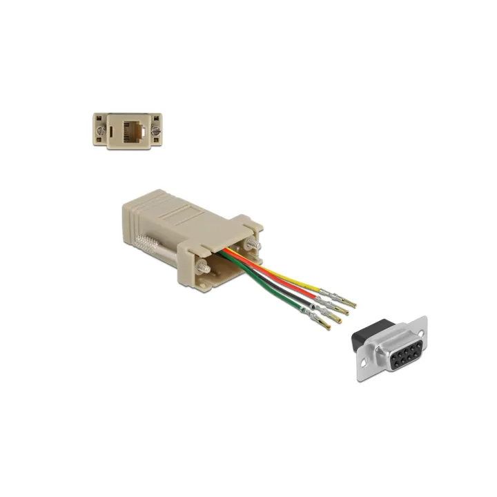 Delock Adaptateur D-Sub 9 broches vers RJ11-RJ14 6P-4C, kit de montage 0.052 m