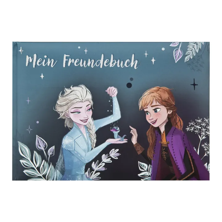 Undercover Livre d’amis Disney Frozen A5